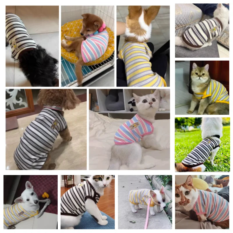 S6727326c12894c05942994fee6789156y